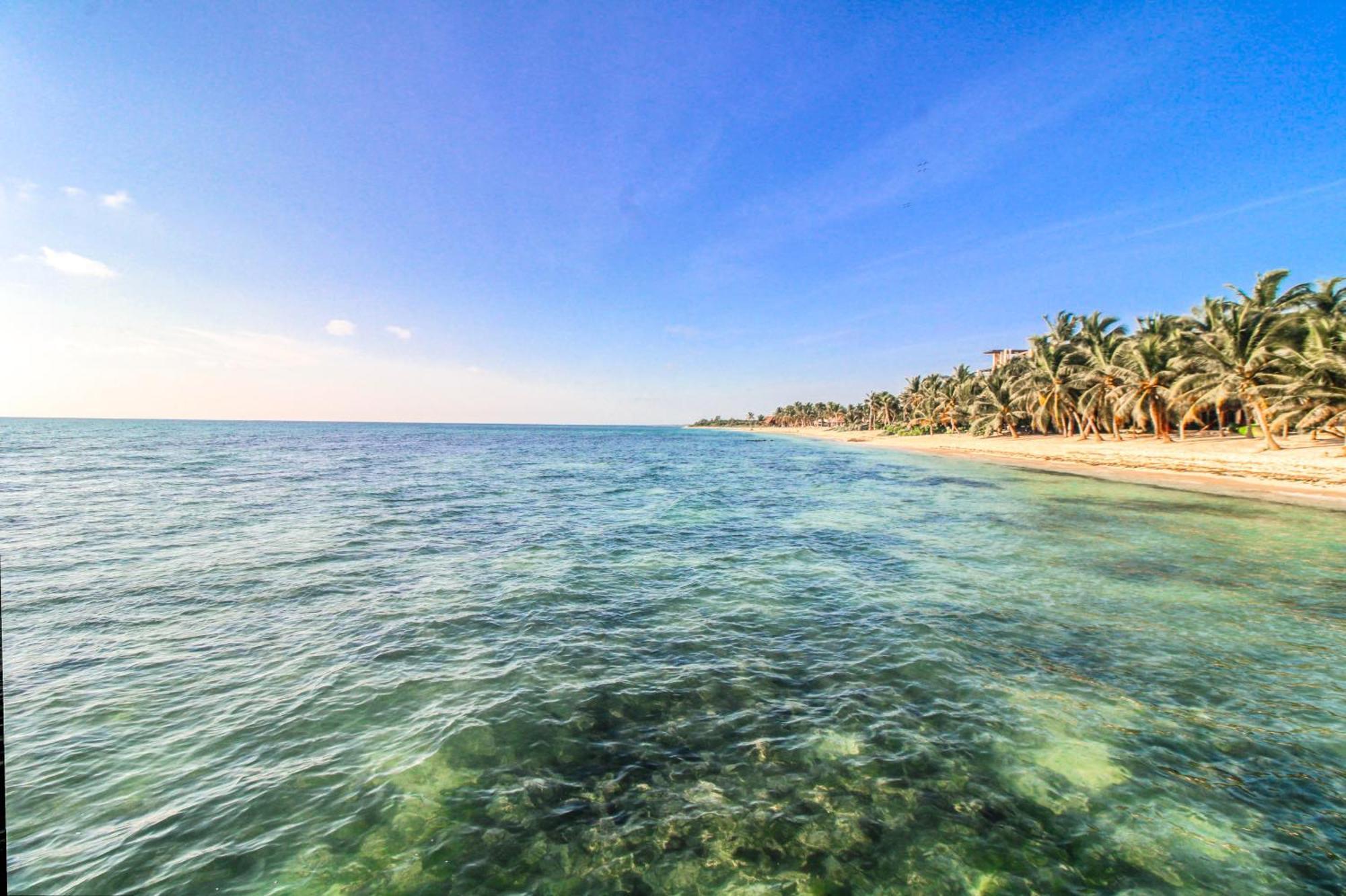 Villa Tankah 7 Cielo Tulum Exteriér fotografie